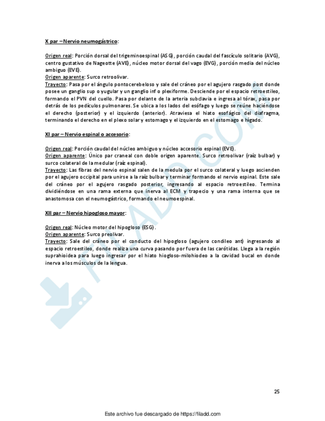 Miniatura del documento ilovepdfmerged-11.pdf