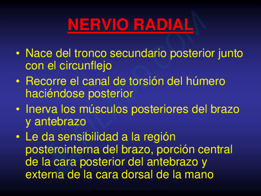 Miniatura del documento ilovepdfmerged-23.pdf