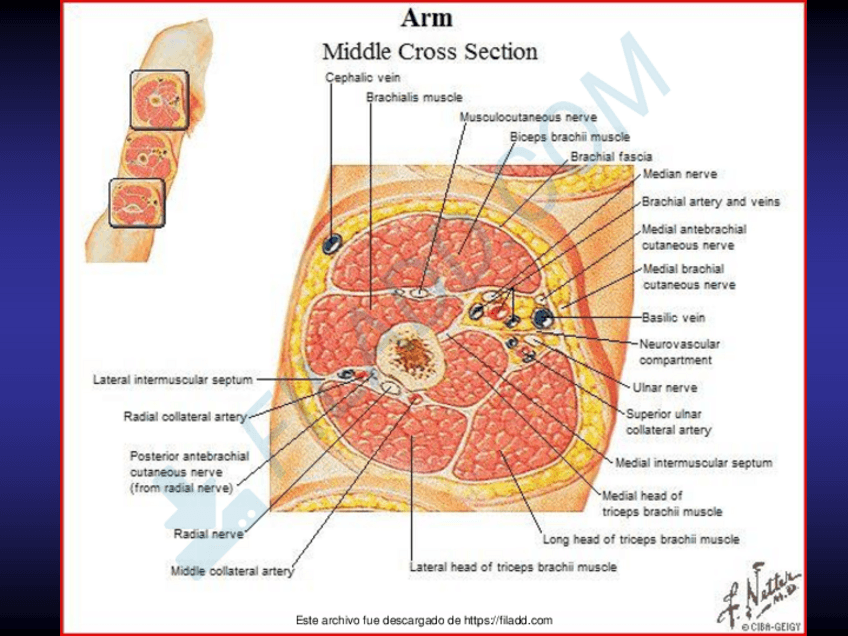 Miniatura del documento ilovepdfmerged-25.pdf
