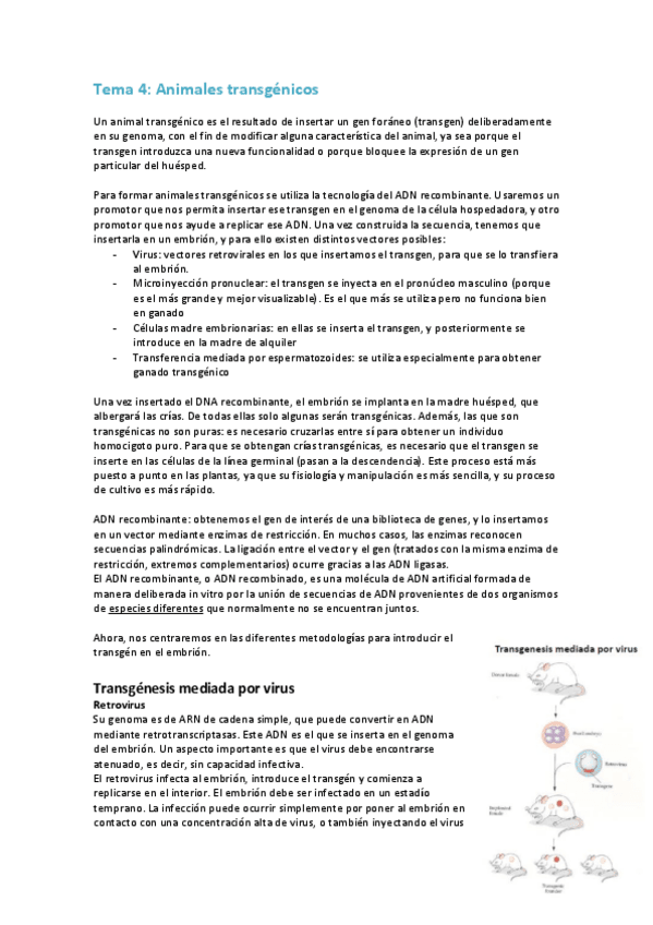 Miniatura del documento 4. Animales transgénicos.pdf