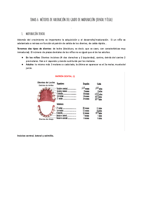 Miniatura del documento TEMA-6-BIOLOGIA-DEL-DESARROLLO.pdf