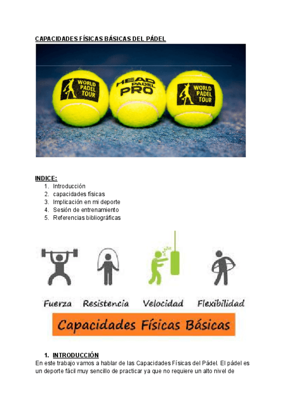 Miniatura del documento CAPACIDADES-FISICAS-BASICAS-DEL-PADEL.pdf