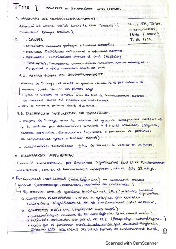 Miniatura del documento Intervencio-en-discapacitat-intelectual.pdf