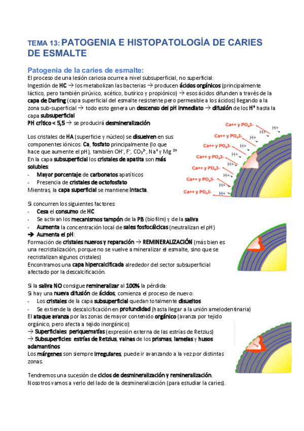 Miniatura del documento Tema-13-Patogenia-e-histopato-caries-esmalte.pdf
