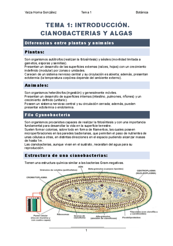 Miniatura del documento Tema-1.-Introduccion-cianobacterias-y-algas..pdf