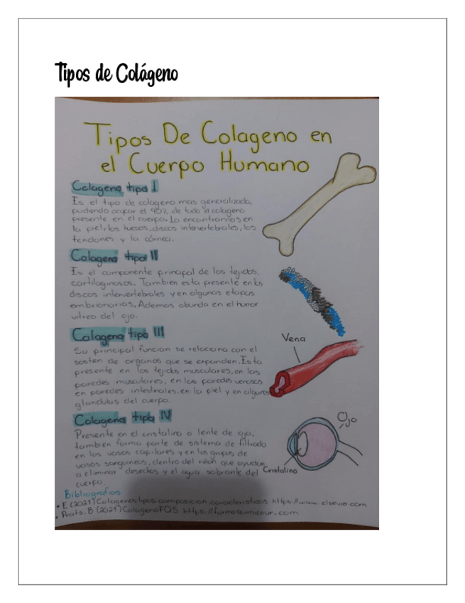 Miniatura del documento Tipos-de-ColagenoErick-Leonel-Lopez-Ortiz.pdf