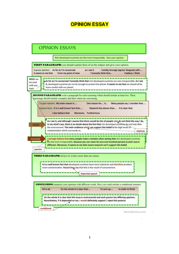 Miniatura del documento OPINION-ESSAYSTRUCTURE-AND-EXAMPLES.pdf