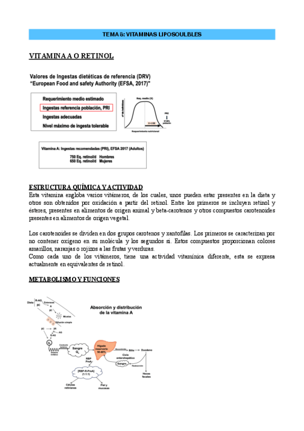 Miniatura del documento DN-TEMA-8.pdf