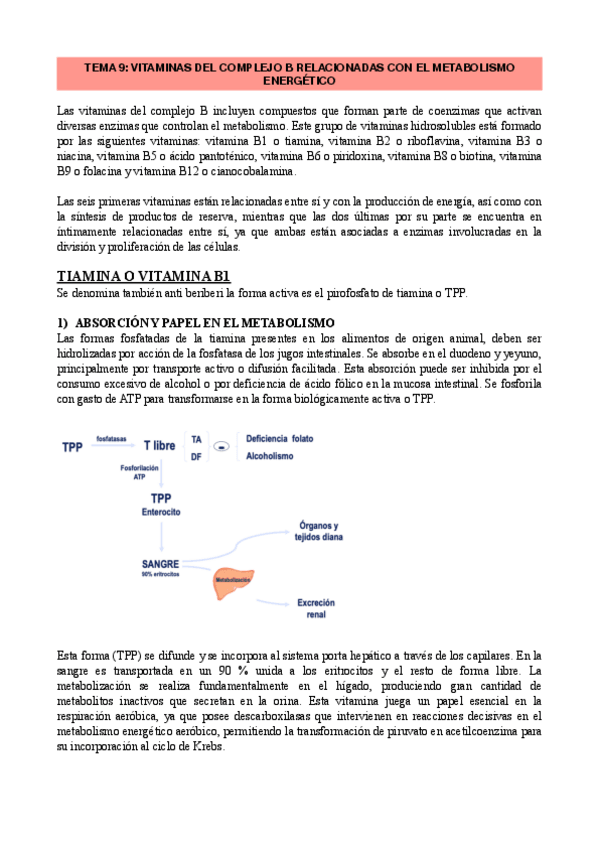 Miniatura del documento DN-TEMA-9.pdf