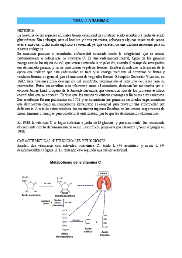 Miniatura del documento DN-TEMA-11.pdf