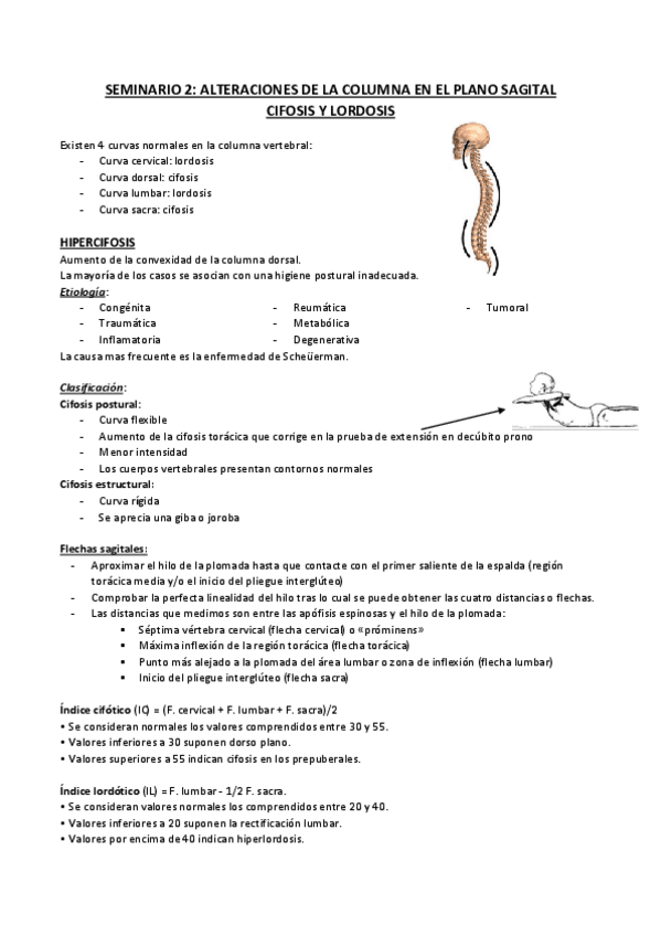 Miniatura del documento SEMINARIO 2.pdf