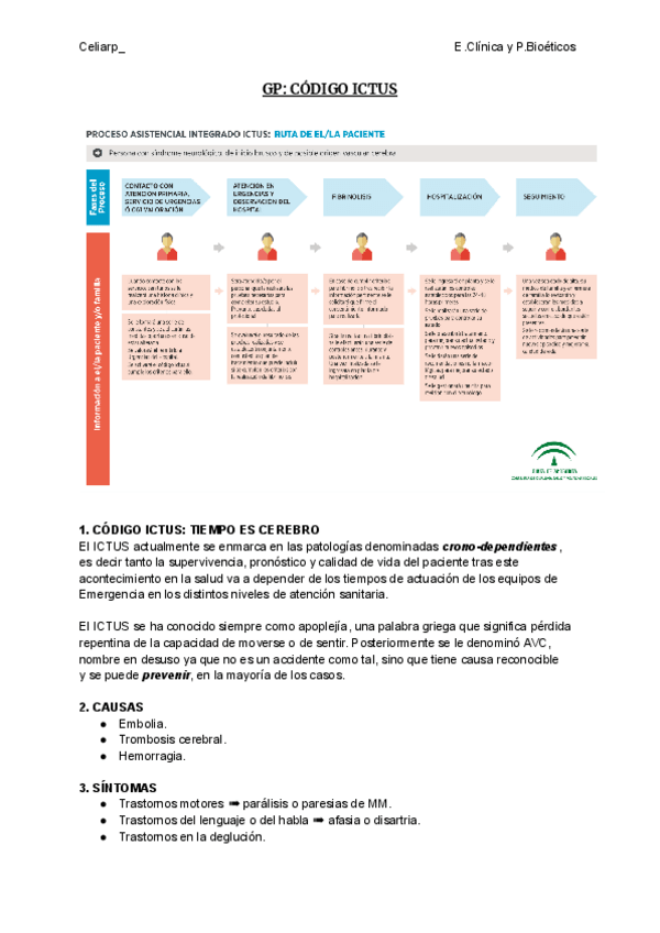 Miniatura del documento GP-CODIGO-ICTUS.pdf