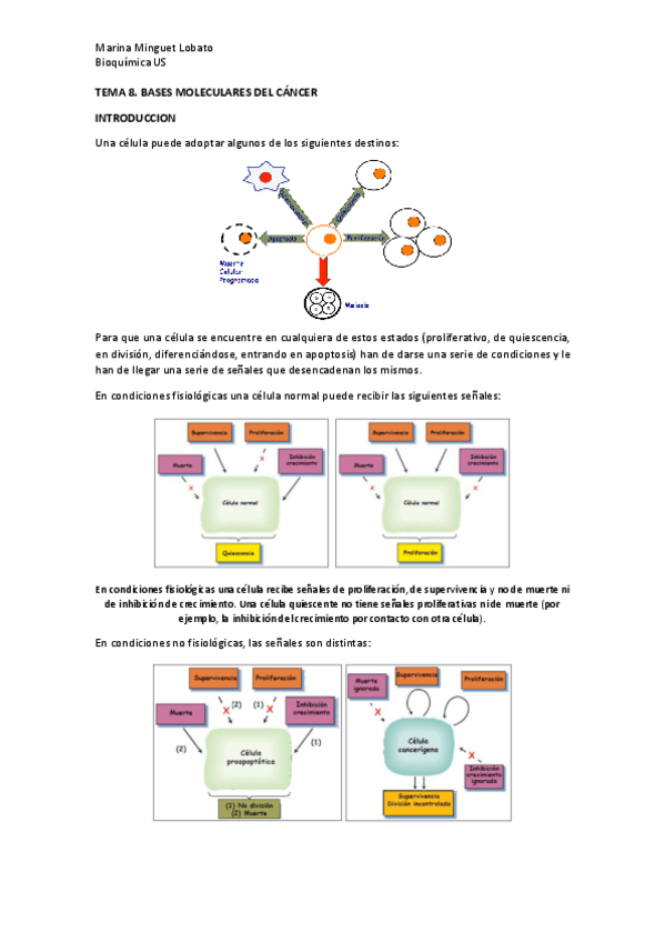 Miniatura del documento TEMA_8.pdf