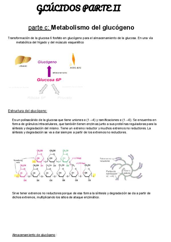 Miniatura del documento GLUCIDOS-part-B.pdf
