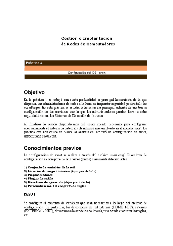 Miniatura del documento GIRC-2023-Practica-4-snort.pdf