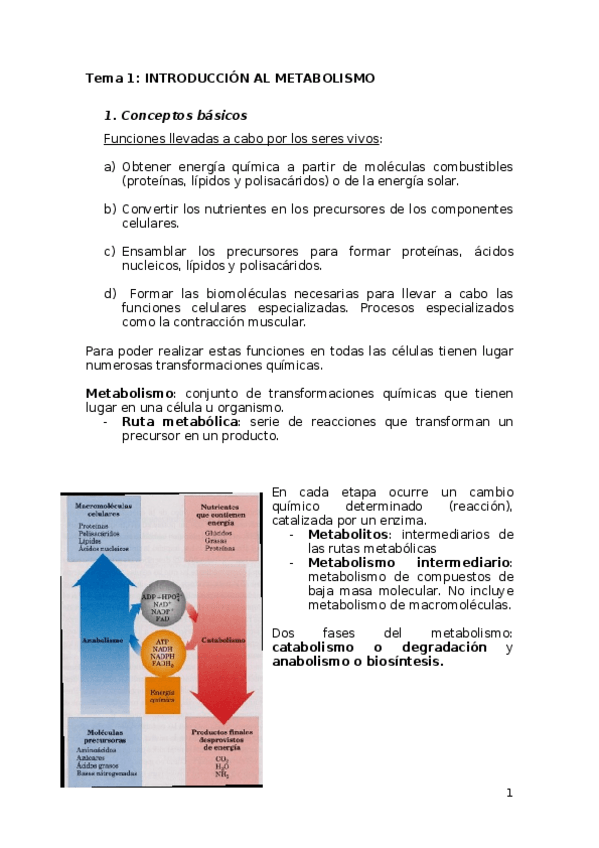 Miniatura del documento Tema 12 INTRODUCCIÓN AL METABOLISMO.docx