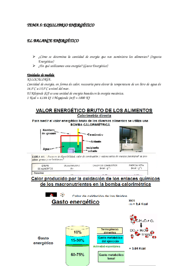 Miniatura del documento Tema 5 nutri.docx