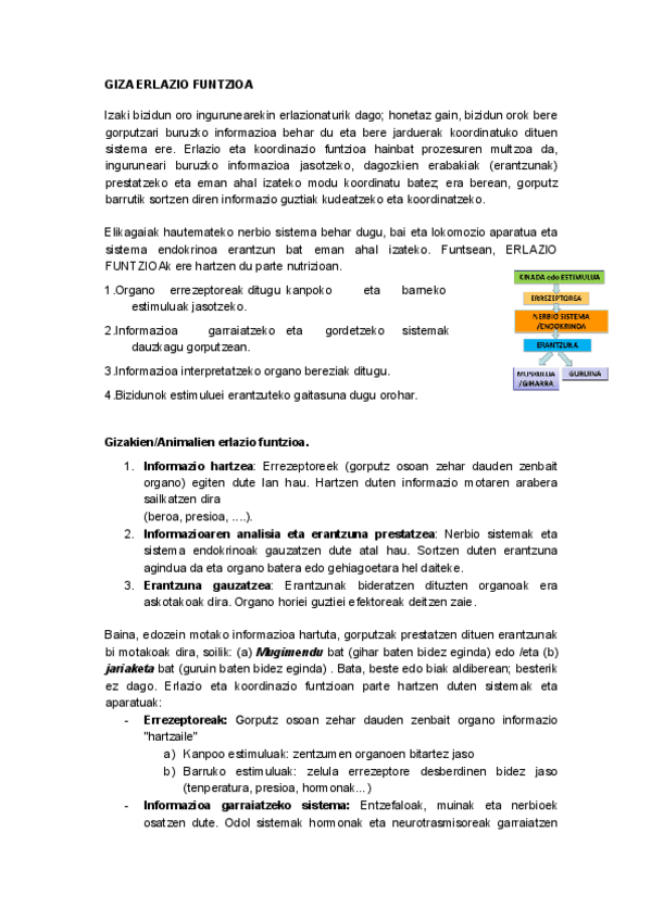 Miniatura del documento GIZA-ERLAZIO-FUNTZIOA.pdf