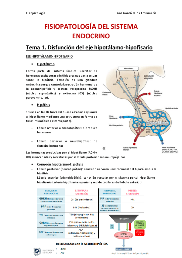 Miniatura del documento Fisiopatologia-del-Sistema-Endocrino.pdf