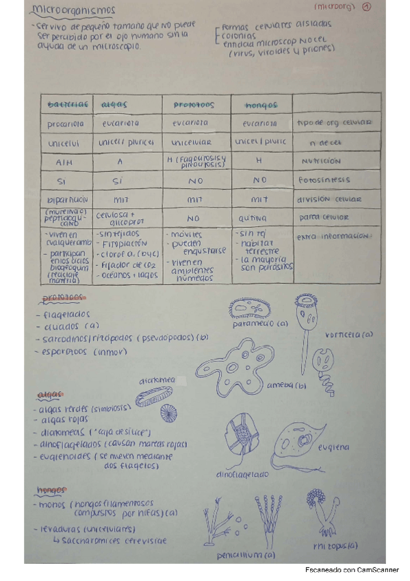 Miniatura del documento MICROORGANISMOS-Y-BIOTECNOLOGIA.pdf