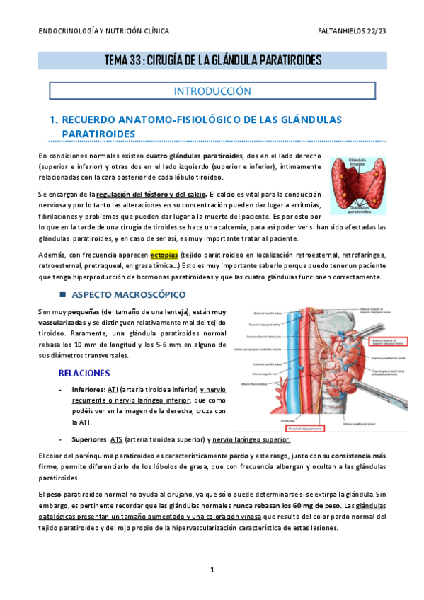 Miniatura del documento 33.-Cirugia-de-la-glandula-paratiroides.pdf