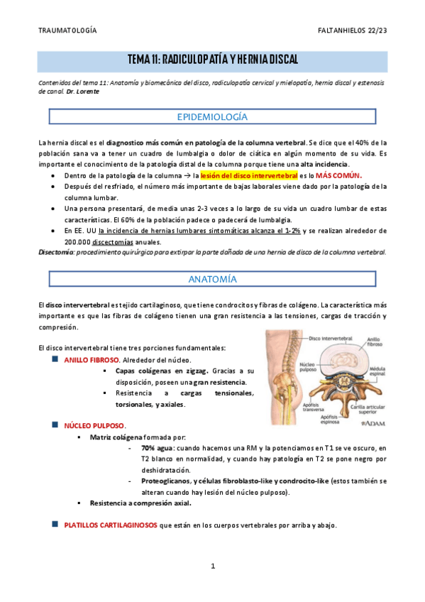 Miniatura del documento 11.-Radiculopatia-y-hernia-discal.pdf