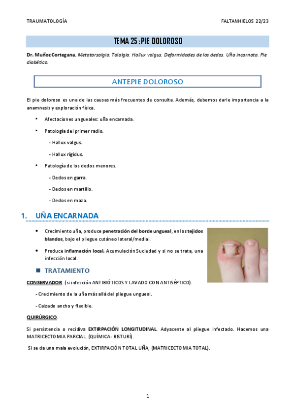 Miniatura del documento 25.-Pie-doloroso.pdf