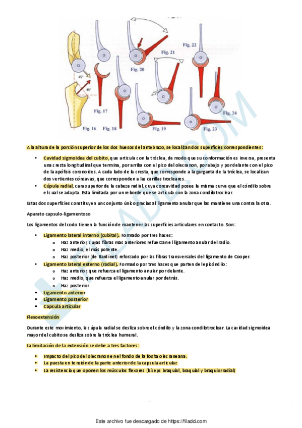 Miniatura del documento BIOMECANICA-TODO-7.pdf