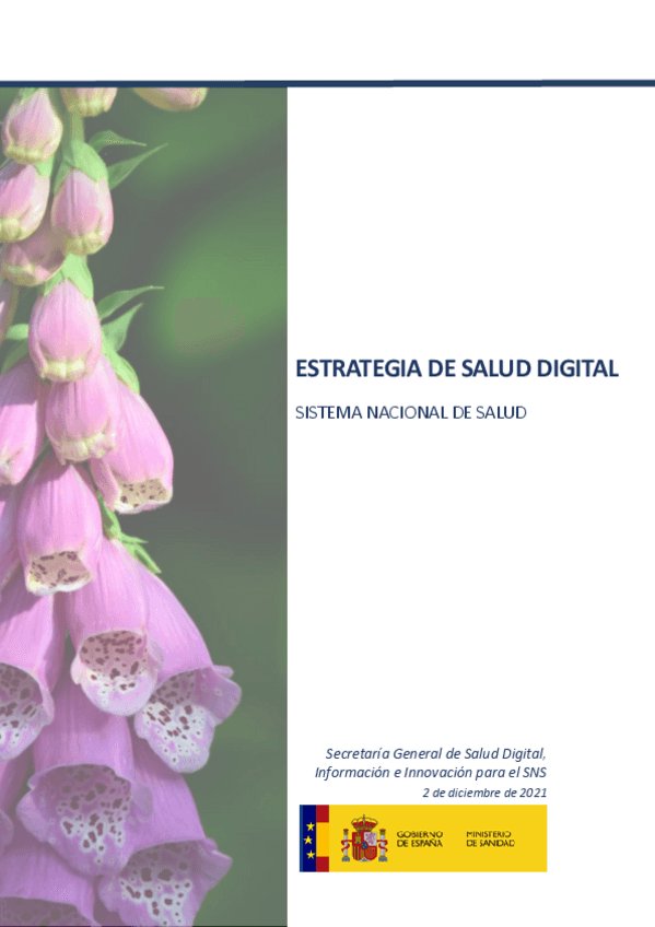 Miniatura del documento EstrategiadeSaludDigitaldelSNS-1.pdf