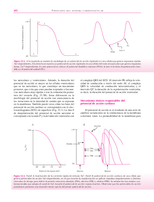Miniatura del documento libro123-21.pdf