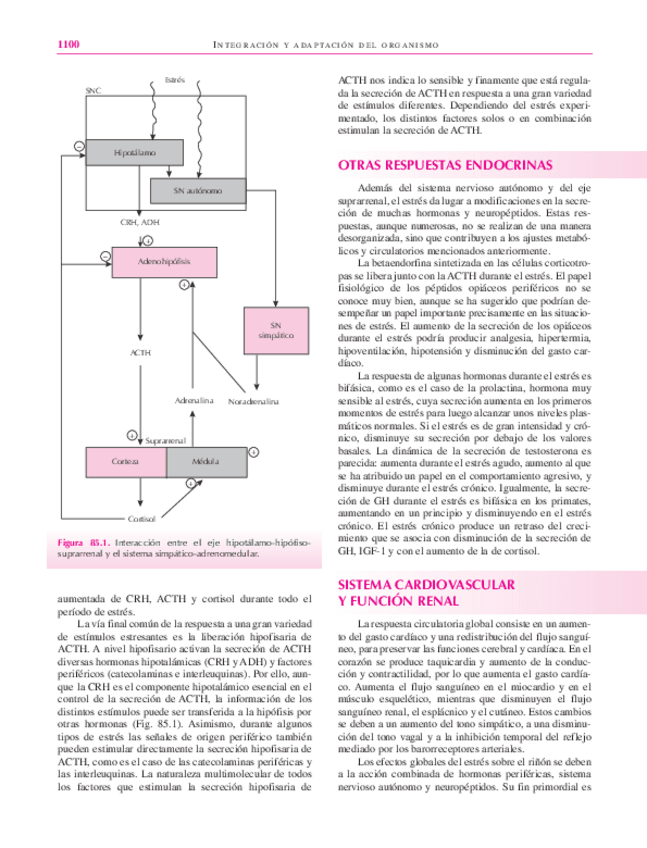 Miniatura del documento libro123-48.pdf
