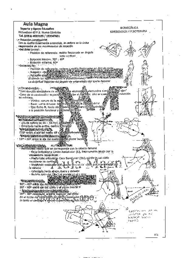 Miniatura del documento TEMAS-BIOMECANICA-14.pdf