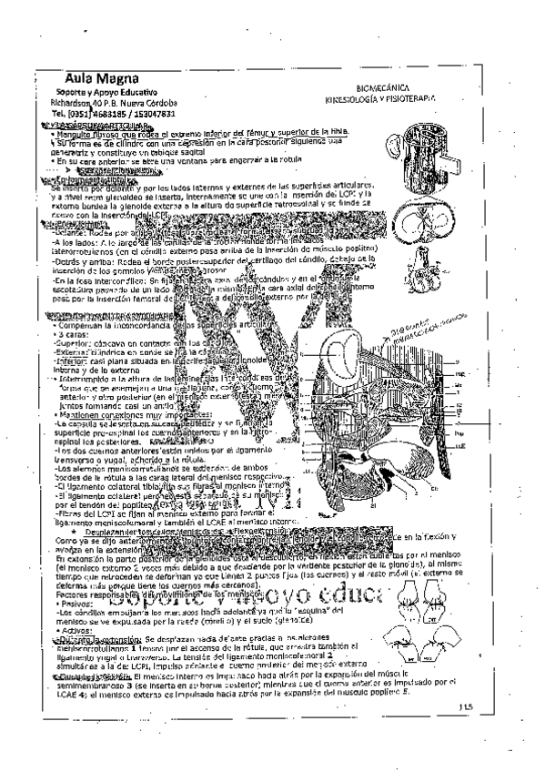 Miniatura del documento TEMAS-BIOMECANICA-15.pdf