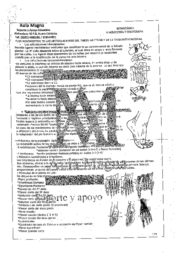 Miniatura del documento TEMAS-BIOMECANICA-16.pdf
