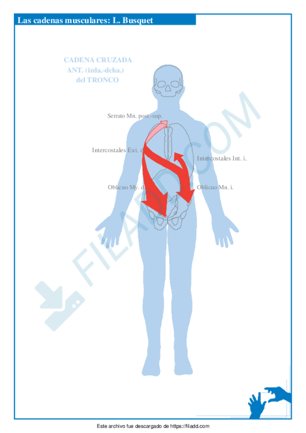 Miniatura del documento TEMAS-BIOMECANICA-17.pdf