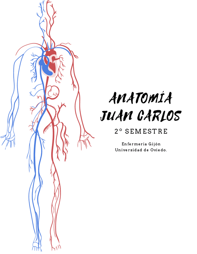 Miniatura del documento Anatomia-JC-2o-Semestre.pdf