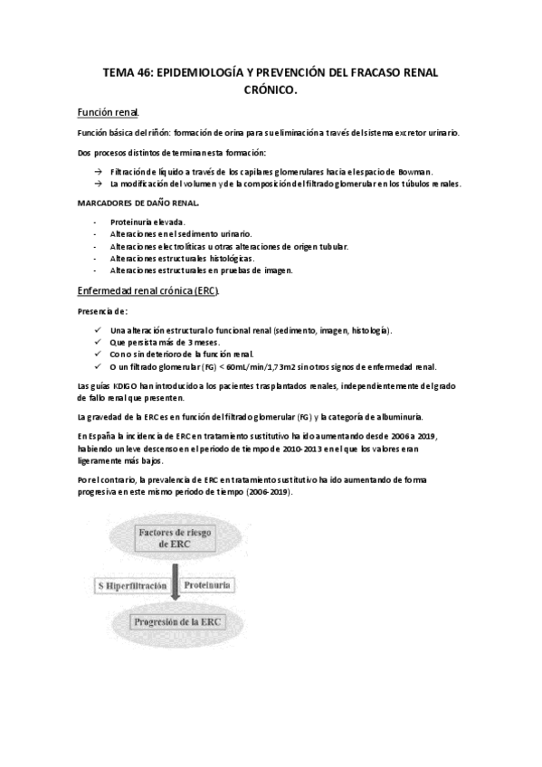 Miniatura del documento TEMA-46.pdf