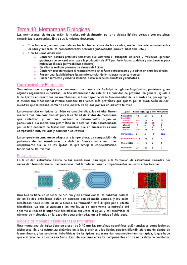 Miniatura del documento Tema-13.-Membranas-Biologicas.pdf