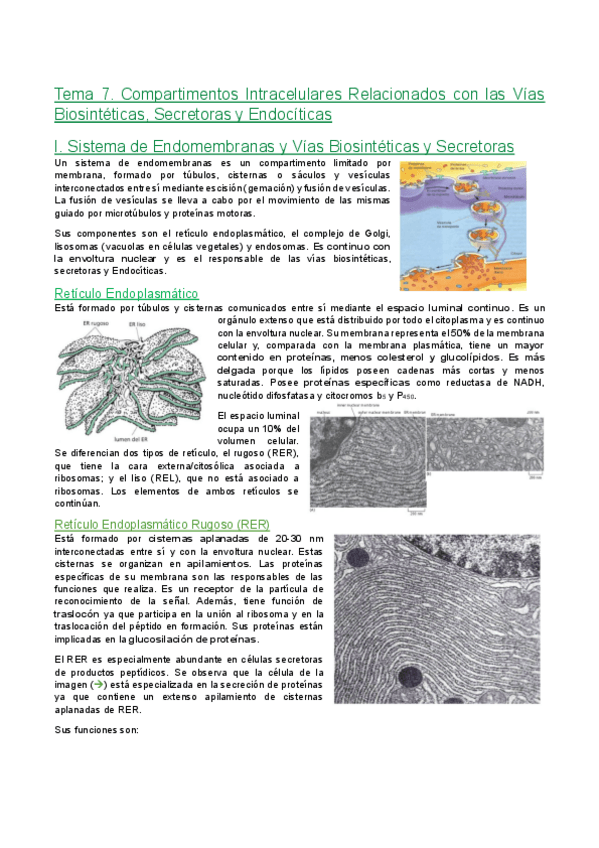 Miniatura del documento Tema-7.-Compartimentos-intracelulares-relacionados-con-las-vias-biosinteticas-secretoras-y-endocriticas.pdf