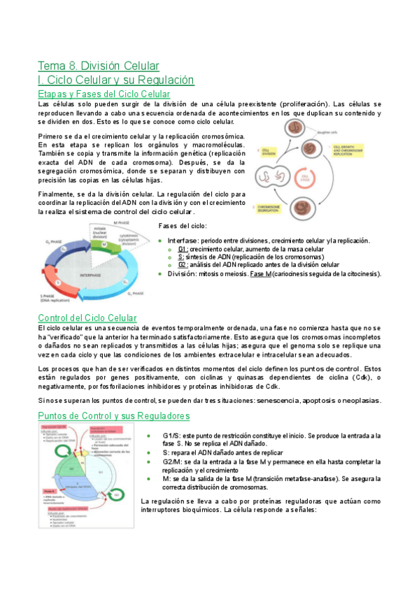 Miniatura del documento Tema-8.-Division-celular.pdf