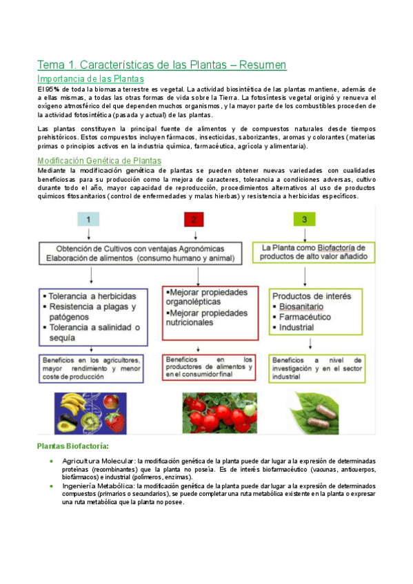 Miniatura del documento Tema-1.-Caracteristicas-de-las-plantas-Resumen.pdf