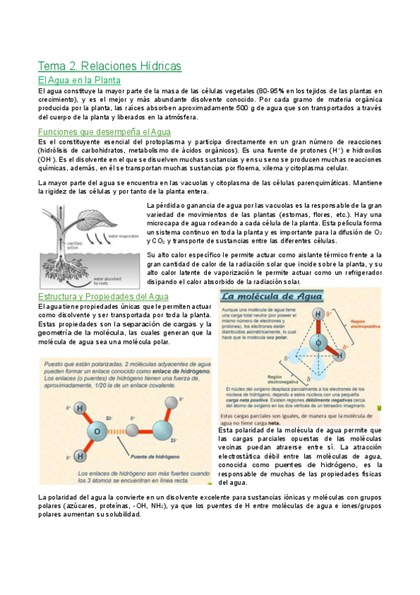 Miniatura del documento Tema-2.-Relaciones-hidricas.pdf