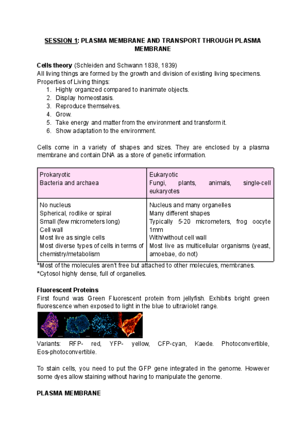 Miniatura del documento SESSION-1-plasma-membrane-and-transport-through-plasma-membrane.pdf