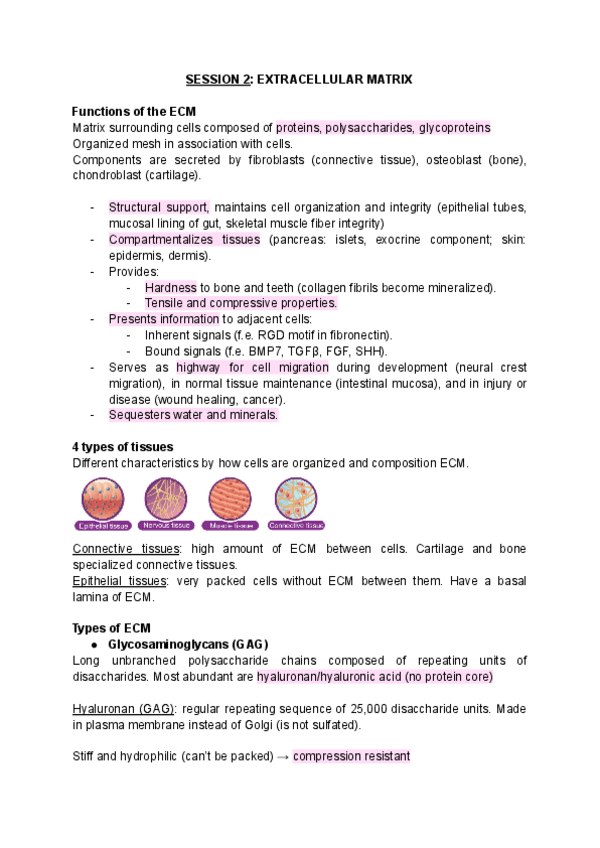 Miniatura del documento SESSION-2-extracellular-matrix.pdf