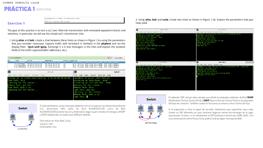Miniatura del documento TCGI-Practica-1.pdf
