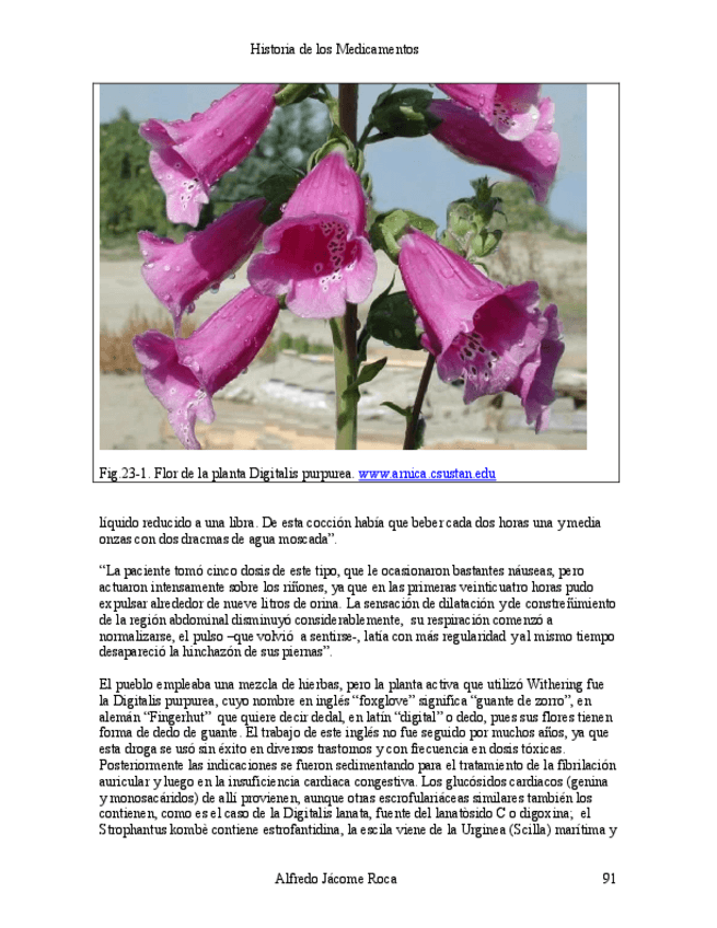 Miniatura del documento HistoriaMedicamentosAJacomeRLIBRO-HXMedicamentosANMdecolombia-4.pdf