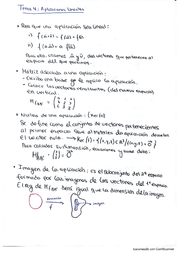 Miniatura del documento RESUMEN-APLICACIONES-LINEALES.pdf
