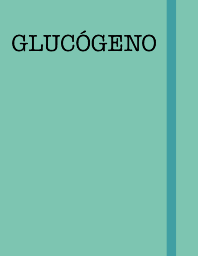 Miniatura del documento Rutas-Glucogeno.pdf