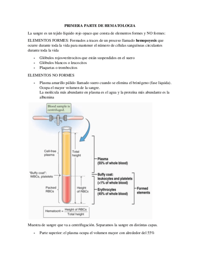 Miniatura del documento Modulo-hematologia-soh-II.pdf