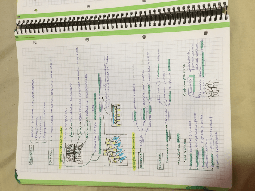 Miniatura del documento C1690664-D668-4B60-B54C-8D6B53EE4C19.jpeg